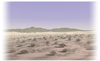 desert icon